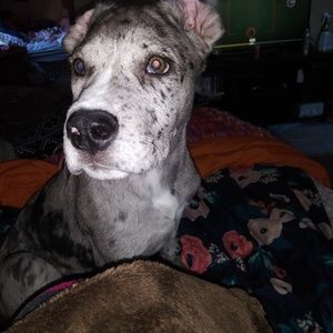 Meet your Posher, Amber